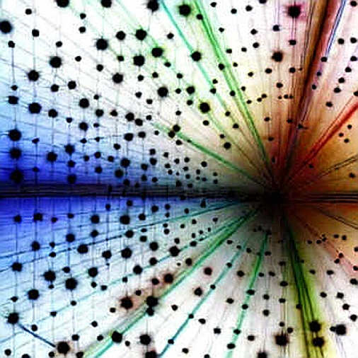 The Semantic Victory: Decoding the Prediction Market Ruling's Invisible Ink