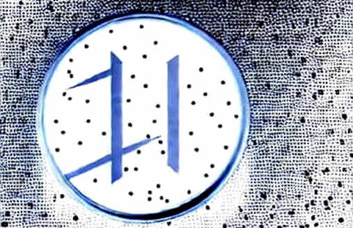 The Grid Remembers: 37 Arrests and the Physics of Digital Power