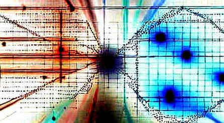 The Loudest Signal Is Silence: Why 'TradeXYZ' Could Be the Most Dangerous Narrative of 2025