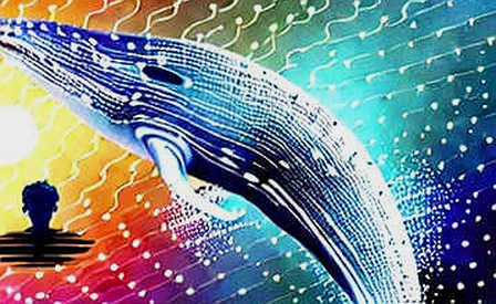 The Five Basis Points Wall Street Whispered: Why August Core PCE Quietly Repriced Crypto's Liquidity Floor